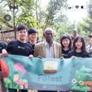 포레스트(forest) 이미지