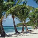 청출어람 이미지