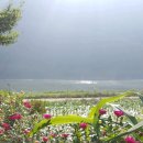 원효유치원 이미지