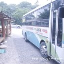 도리돈 Daum카페