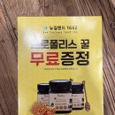 뉴질랜드 1642 대구센터점