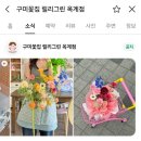 흥안로 | 구미옥계꽃집 릴리그린 꽃 인테리어식물 내돈내산 후기