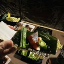 금옥골숲속작은마을 이미지