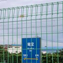 동해탕 | 여자 혼자 뚜벅이 묵호 여행/소소한 꿀팁/개빡센 여행코스..