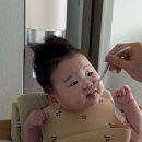 여름의 시작과 함께