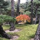 분당행정사 사무소 이미지