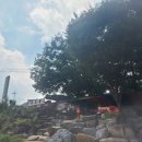 산천평상 이미지