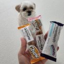 시그독 | 141 시그니처바이×알망 후기 1, 강아지 개껌 스모트액트