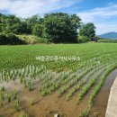 선소리 민박 이미지