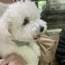 오드그루밍 네이버블로그