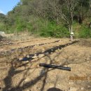 백마농장 이미지