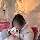 그린애견 | 서울 근교 강아지 동반 카페 추천 헤이더그린 후기(애견운동장)