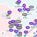 6월 에버랜드와 홈브리지 후기 (티익스프레스, 로스트밸리, 사파리월드, 썬더폴스, 아마존익스프레스)
