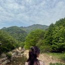 문경사과꽃팜스데이 | [문경여행] 문경가볼만한곳 문경새재 도립공원, 오픈세트장, 어드벤쳐파크 왕광사는남자 촬영지