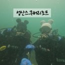성산스쿠버리조트 | 제주 스쿠버다이빙 성산스쿠버리조트 체험 후기