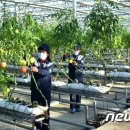 중평농장 이미지