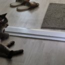 홍성고기마을 이미지