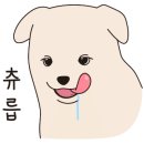 바르다펫 이미지