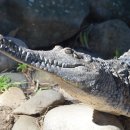 작은동물원수족관 이미지