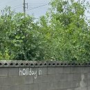 홀리데이 인 경주 이미지