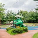 관저체육공원운동장 축구장 이미지