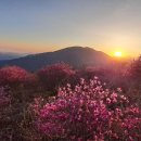 지리산 이미지