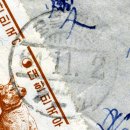 우정진도개 이미지