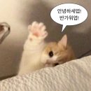 [떡붕] 붕마카세 후기ദ്ദി˶ ̇ ̵ ̇˶ )