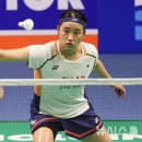 안세영 베트민턴 선수 호주대회 또 우승 - 올해만 세계대회 10회우승 이미지