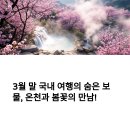 부곡가든 | 3월 말 국내 여행지 추천 – 창녕 부곡온천축제 &amp; 봄꽃 명소
