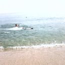 봉평해수욕장 이미지