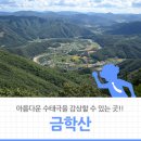 노일리 금학산등산로 입구 간이화장실 | [강원도 등산 추천] 수태극을 볼 수 있는 금학산