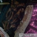 칠읍산장모텔 이미지