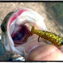 빨간스푼 이미지