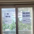 순천시 별량면 화포항 식당 봉승관회관 해물탕 리뷰