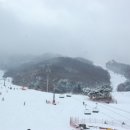 상무안경 이미지