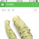 진참치신음점 이미지