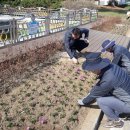 야적장 조성공사 이미지