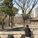 덕수궁 애 이미지