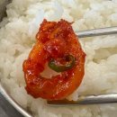 대전 문지동 고기 맛집 회식 추천 열두달꽃돼지 점심특선 후기