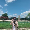 [대구경북 가봄] 주식회사 태형 - 코리아카드 홍보영상 촬영 후기/ 동궁과월지,대릉원