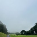 크리스탈밸리커피 | 크리스탈벨리 cc 다녀온 후기 | 내 꿈은 골프 왕