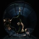 대구시립무용단 DCDC 이미지