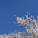 구도2호선 | 홍대 셀프사진관 오디티모드 2호점 보정 안 해도 잘 나와서 신나게 찍은 후기