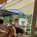 오세르키즈앤패밀리풀빌라 이미지