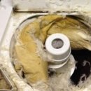 오리한마리 이미지