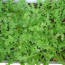 우리집농장 이미지