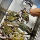 GS25 샤로수길점 | 0908-0914 주간일기, 일상기록, 내생일