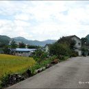 무릉도원팬션 이미지