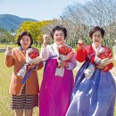 신앙촌상회 - 강남구 개포로 234 | 신앙촌상회